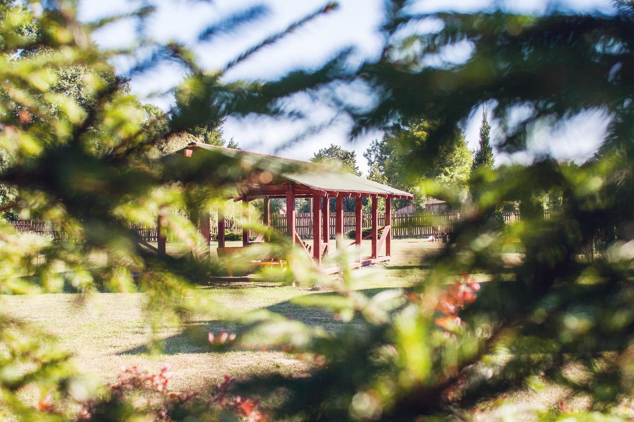 Vila Pas Kaziuka Namukas Paluse Exteriér fotografie